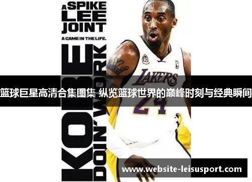 篮球巨星高清合集图集 纵览篮球世界的巅峰时刻与经典瞬间