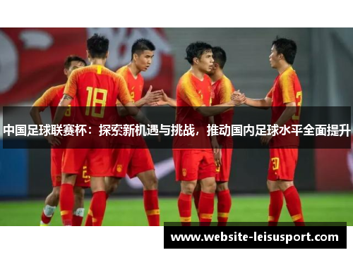 中国足球联赛杯：探索新机遇与挑战，推动国内足球水平全面提升